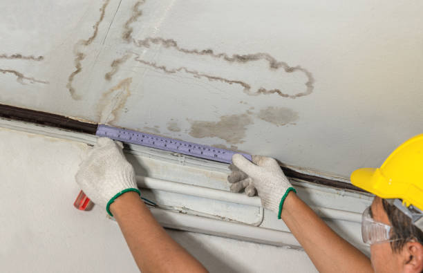 Reliable Mold Remediation contractor in East Palestine, OH by Water Damage Irwin